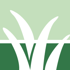 Lawn Fungus Control Pros