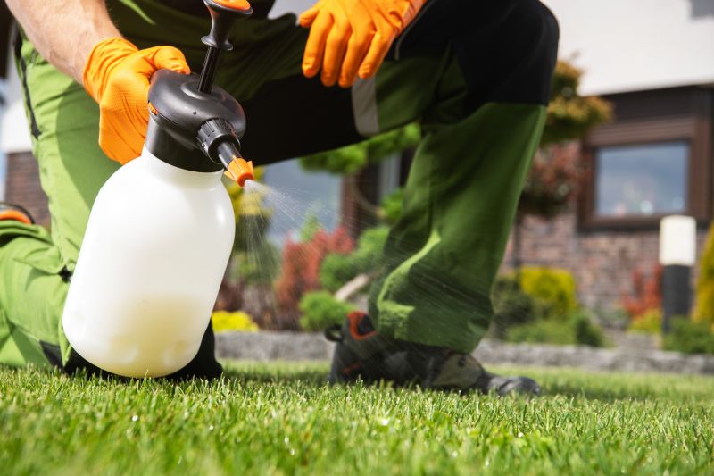 Lawn Fungus Control
